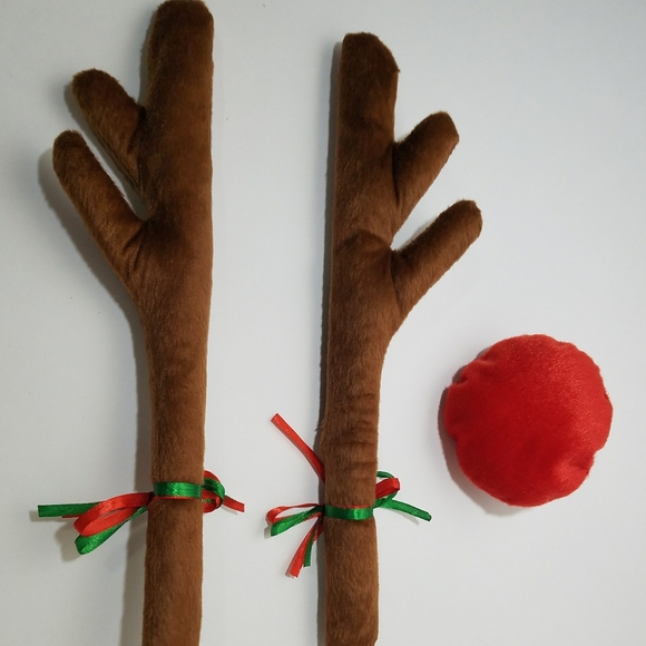 Nifty Rudolph Car Decor Kit - Picture 4 of 7